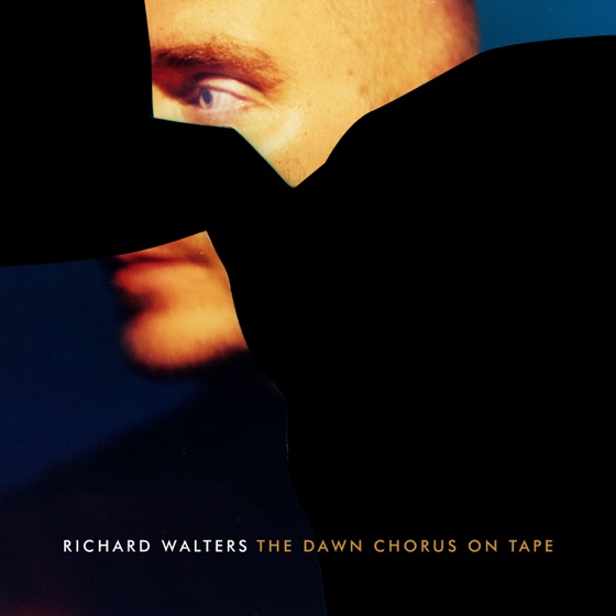 Cover artwork for The Dawn Chorus on Tape