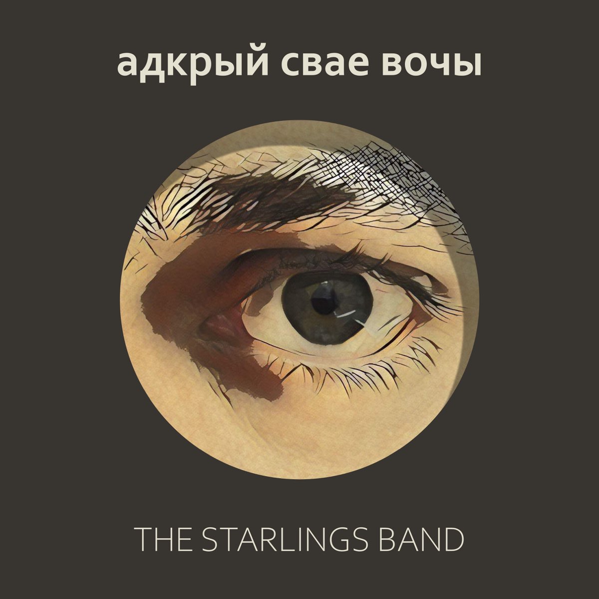 The starlings band адкрый свае вочы