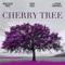 Cherry Tree (feat. Tevin Campbell & Tony Baez) - Malcolm Baez lyrics