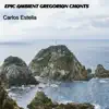 Epic Ambient Gregorian Chants - Single album lyrics, reviews, download