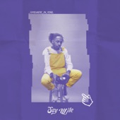 Jay Wile - Get it Back