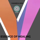 Essence of Healing artwork
