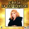 Colección de Oro: La Voz Tropical, Vol. 2 album lyrics, reviews, download