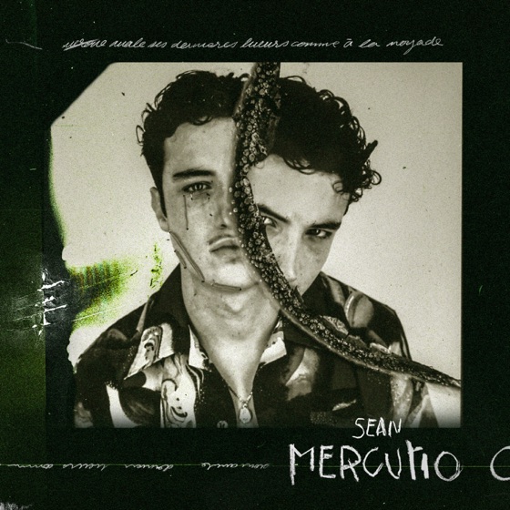 Cover artwork for Pourquoi