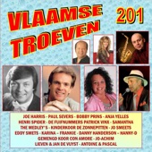 Vlaamse Troeven volume 201 artwork