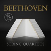 String Quartet No. 1 in F Major, Op. 18 No. 1: II. Adagio affettuoso ed appassionato artwork