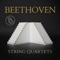 String Quartet No. 1 in F Major, Op. 18 No. 1: IV. Allegro artwork