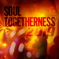 Various Artists - Soul Togetherness 2019 artwork