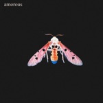 Amorous - Ricochet