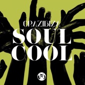 Soul Cool artwork