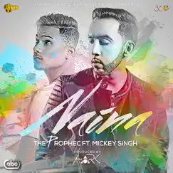Naina (feat. Mickey Singh & DJ Hark) Song Lyrics