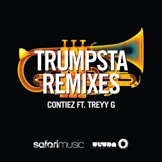 Trumpsta (feat. Treyy G) [NYMZ Remix] by Contiez song reviws