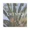 10 Feet Tall - OKENYO lyrics