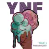 YNF (feat. Trip J) - Single album lyrics, reviews, download