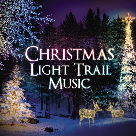 Cover artwork for O Holy Night / Ave Maria (feat. Lexi Walker)