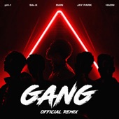 Gang (Official Remix) artwork