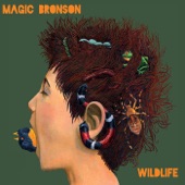Magic Bronson - Fences