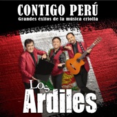 Contigo Perú. Grandes Éxitos de la Música Criolla artwork