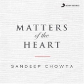 Matters of the Heart (feat. Naveen Kumar) artwork