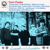 Twin Peaks - Blue Coupe