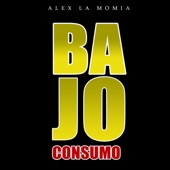 Bajo Consumo artwork