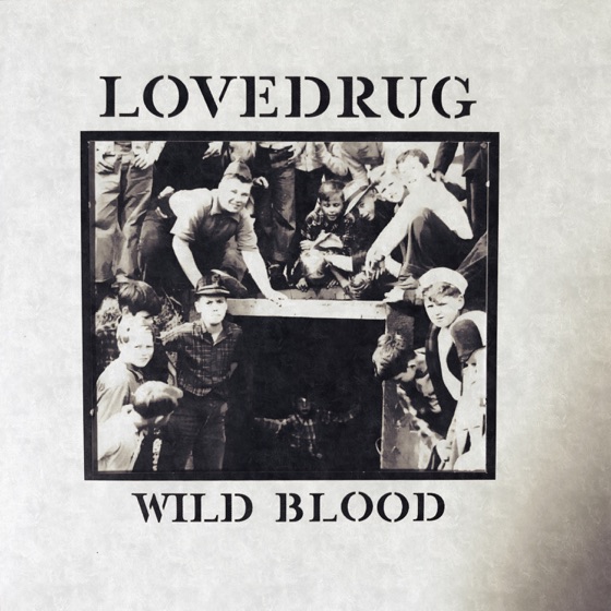 Cover artwork for Dinosaur