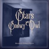 Snowy Owl (Benjamin Gibbard Remix) - Single