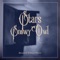 Snowy Owl - Stars & Benjamin Gibbard lyrics