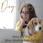 Dog Music: Relax My Dog When Working From Home artwork