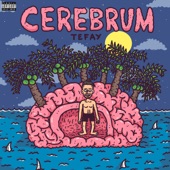 CEREBRUM artwork