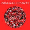 We Are the Arsenal Boys - Arsenal Boys