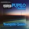 Tranquilo Quieto (feat. Judiny) artwork