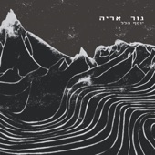 גור אריה artwork