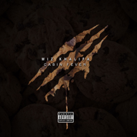 Wiz Khalifa - Cabin Fever 3 artwork
