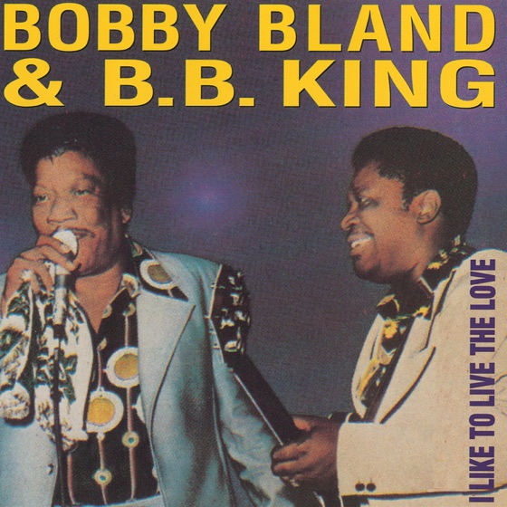 Cover artwork for I Like To Live the Love