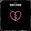 Now U Know - Single album lyrics, reviews, download