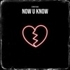 Now U Know - Single