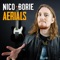 Aerials - Nico Borie lyrics
