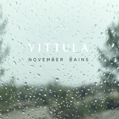 November Rains - Vittula