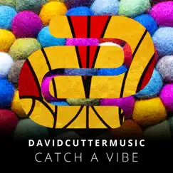 Catch a Vibe by David Cutter Music album reviews, ratings, credits