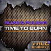 Time to Burn - Single