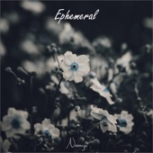 Ephemeral artwork