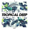 Tropical Deep, Vol. 4