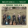 2000 Miles - Single