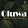 Oluwa (feat. Lyta & Femzee) - Single album lyrics, reviews, download