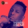 Shepherd of My Soul - Single, 2019