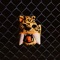 Blue Tiger - Rodney Hazard lyrics