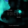 Voices Hussein Arbabi Remix - Single