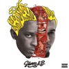 Go Crazy artwork