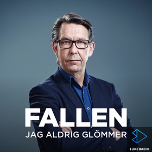 Flickan som aldrig kom hem
